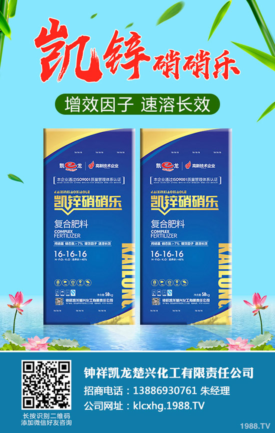 什么是有機(jī)大白菜，有機(jī)大白菜種植要點(diǎn)有哪些？