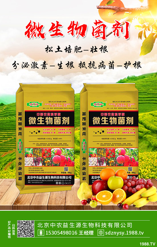     鉀肥價格將維持弱穩(wěn)！2019年11月2日最新行情走勢分析！