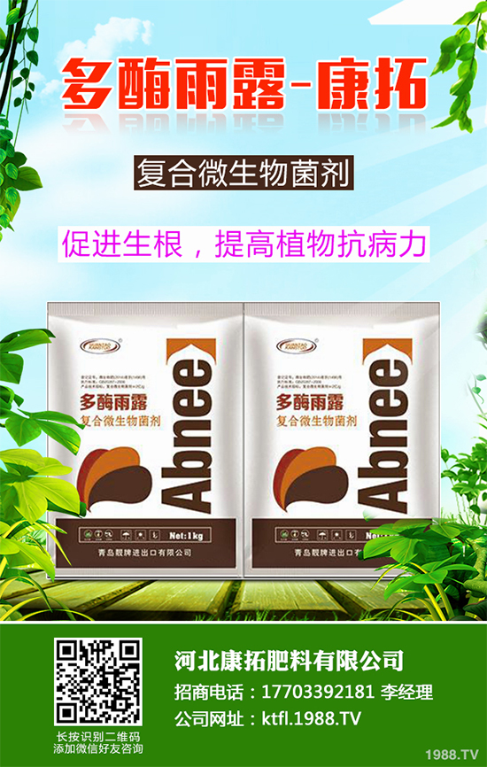 11月份農(nóng)事安排有哪些？2019秋冬蔬菜種植指南