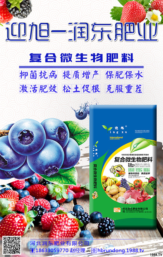 洋蔥定植你掌握了嗎？洋蔥定植及定植后管理方案