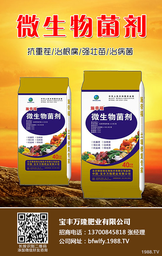 西蘭花種植方法有哪些？西蘭花種植注意事項(xiàng)！