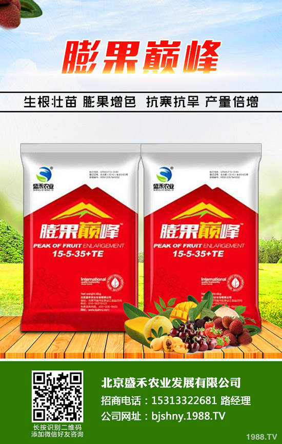 冬季大棚番茄空心果是什么原因，怎樣避免番茄空心果發(fā)生？