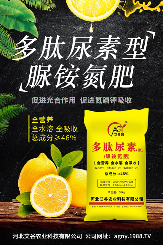 山藥種植時(shí)間,山藥種植技術(shù)與栽培管理