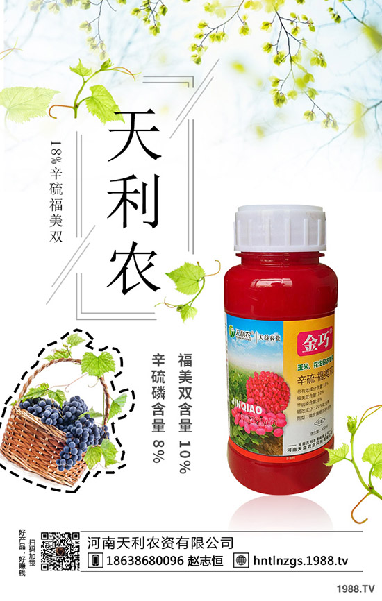 冬棗縮果病是咋回事？冬棗縮果病發(fā)病癥狀、原因和防治措施！