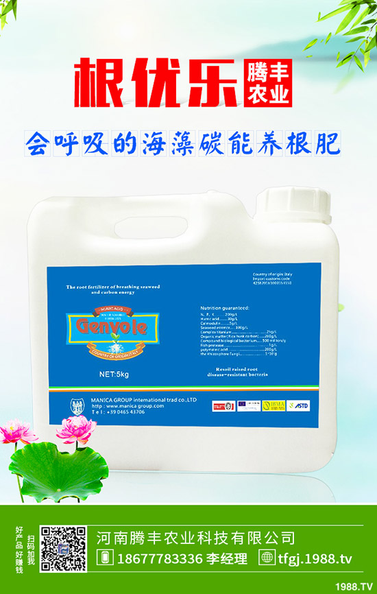 石榴褐斑病導(dǎo)致發(fā)黃落葉怎么辦?石榴褐斑病的防治要點!