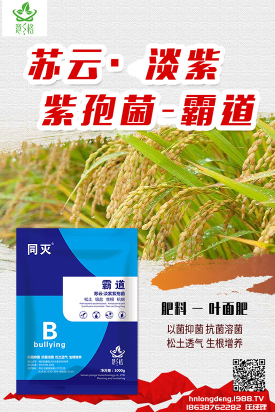 如何種植盆栽玫瑰，盆栽玫瑰的種植方法和注意事項(xiàng)！