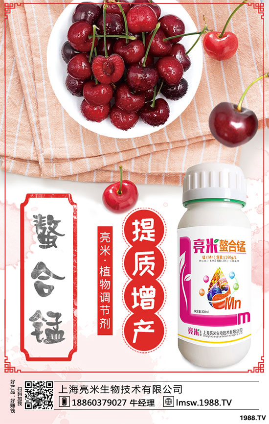 黃秋葵有哪些營(yíng)養(yǎng)價(jià)值？黃秋葵高產(chǎn)栽培技術(shù)