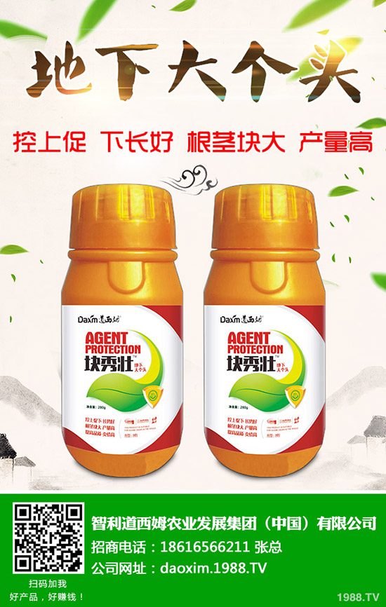 蘿卜得了炭疽病怎么辦？蘿卜炭疽病癥狀和防治方法！