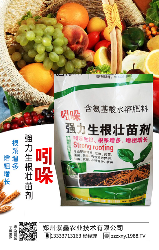 春芝麻種植時間是什么時候嗎?春芝麻種植管理技術!