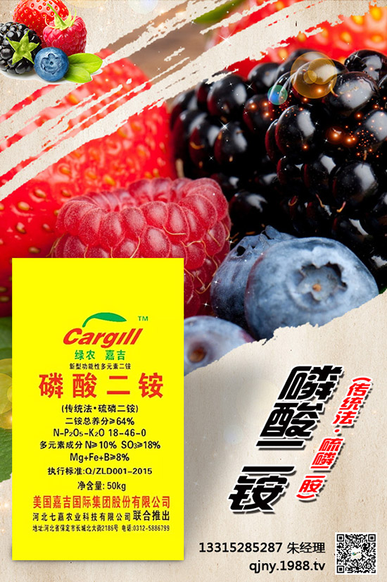 小茴香什么季節(jié)播種？有哪些種植技巧？