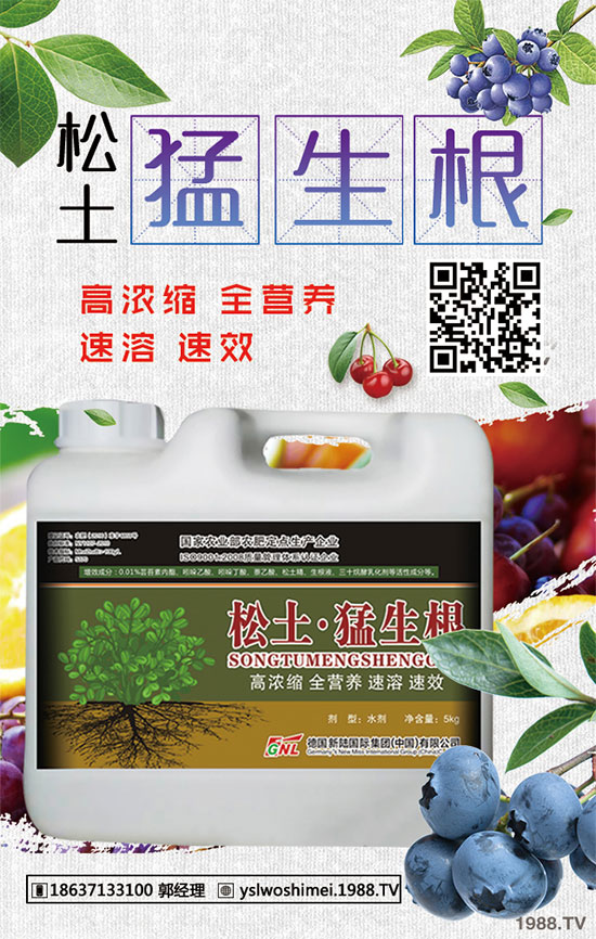 柿子有哪些功效和作用?柿子的食用禁忌!