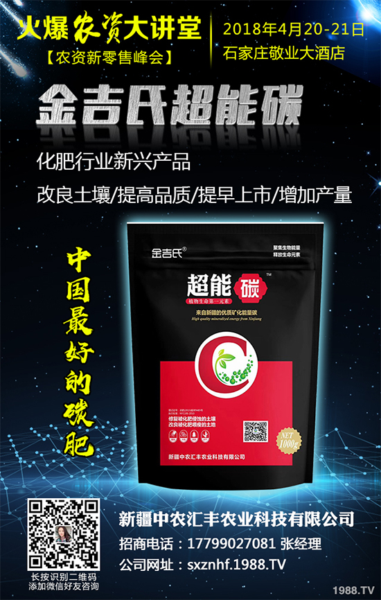 白皮松經(jīng)濟效益如何?2020白皮松的種植前景分析