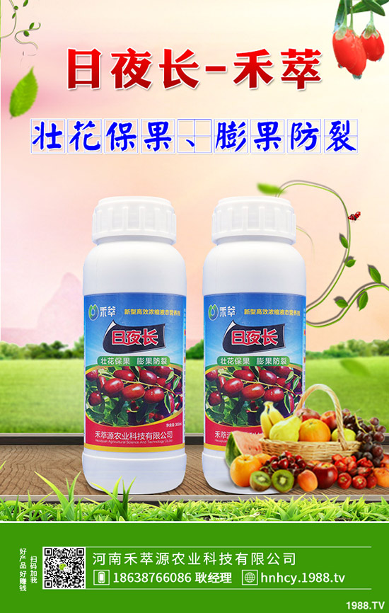 菠菜炭疽病的病因有哪些？菠菜炭疽病的防治要點(diǎn)！