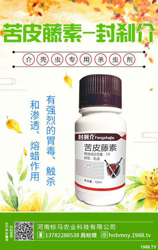 南方水稻什么時候播種，水稻播種育苗要點，快來看看