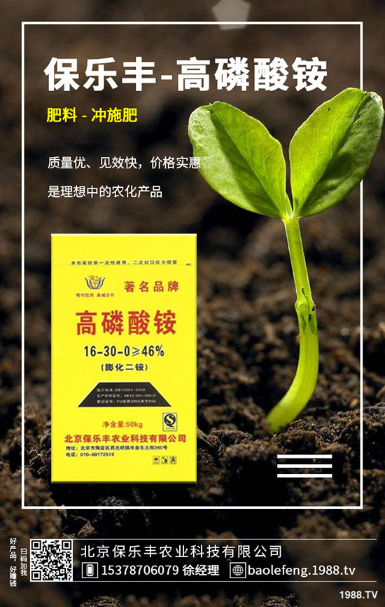 ����(n��i)���@�r����ϝq����2019.11.29���ո������@���S��r��