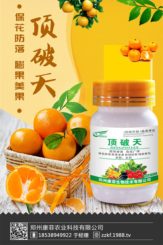 柑橘為什么會黃葉？柑橘黃葉的解決措施！