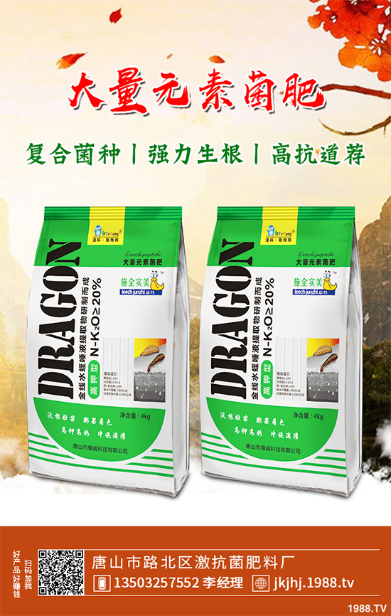 白皮松移栽后枯黃是咋回事?該怎么解決?快來(lái)看看吧