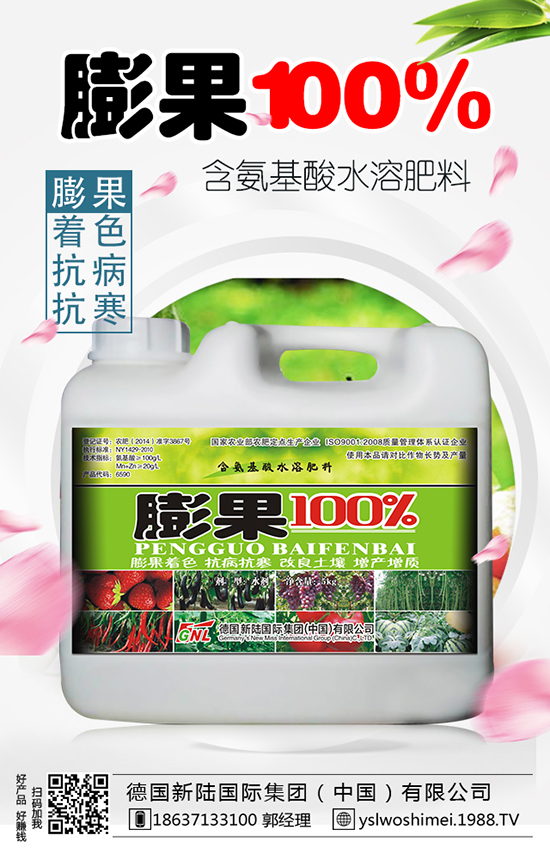 德國新陸國際集團(tuán)有限公司2