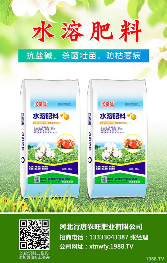 苦瓜得了白粉病怎么辦，苦瓜白粉病綜合防治