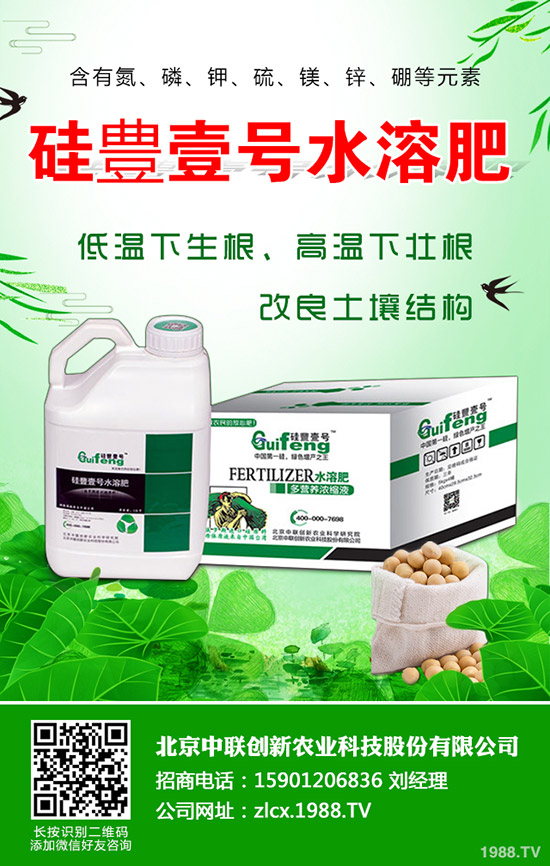 辣椒的種植要點有哪些，辣椒地膜覆蓋栽培技術！