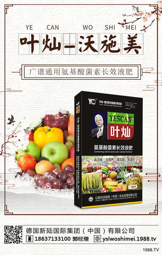 生菜栽培季節(jié)是什么時候？生菜高產(chǎn)技術(shù)有哪些？