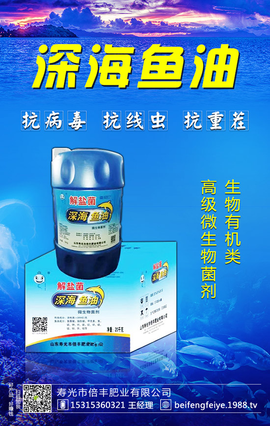 黑枸杞的種植方法，黑枸杞的種植前景