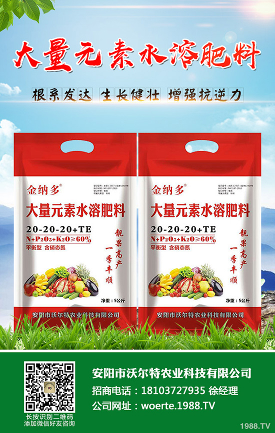 龍眼怎么種，龍眼種植要求有哪些？