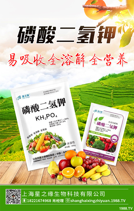 花椰菜花球出現(xiàn)異常是什么原因？該如何解決？快來(lái)看看吧！