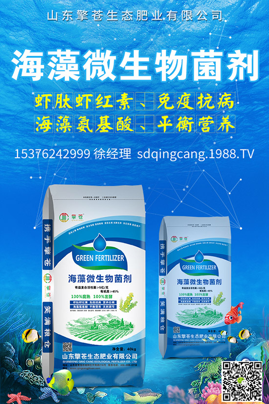 尿素價格跌出新價!2019年11月初尿素行情走勢分析及后市預(yù)測!