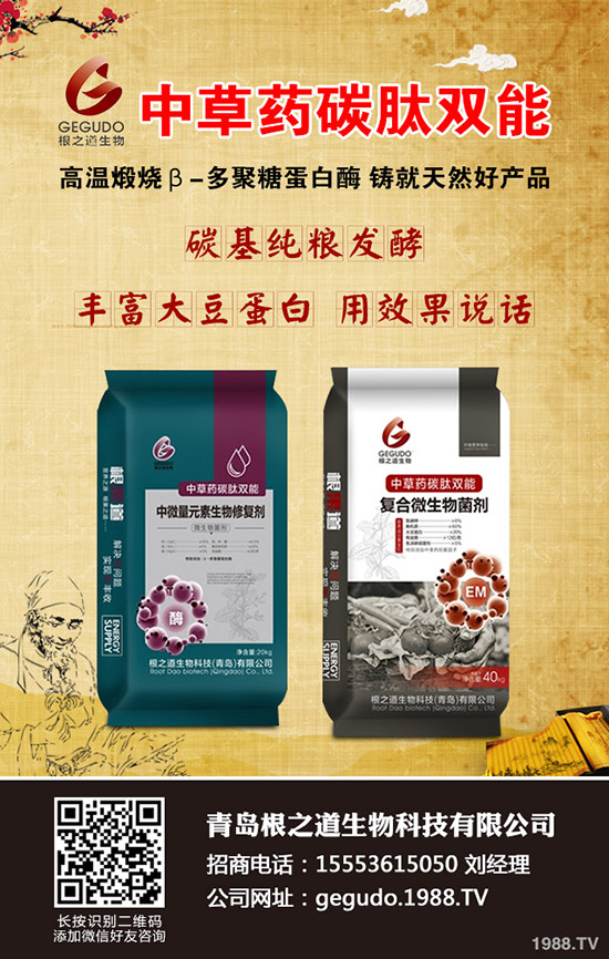 小麥土傳病害有哪些危害？小麥土傳病害發(fā)病規(guī)律及防治！