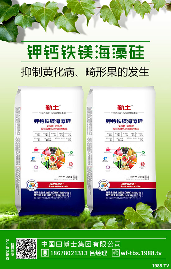 2019年11月8日最新鉀肥行情走勢預(yù)測,氯化鉀出廠報(bào)價(jià)一覽