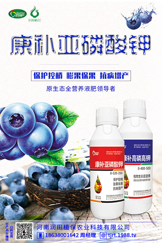 朝天椒什么播種？朝天椒的種植方法及病蟲害防治