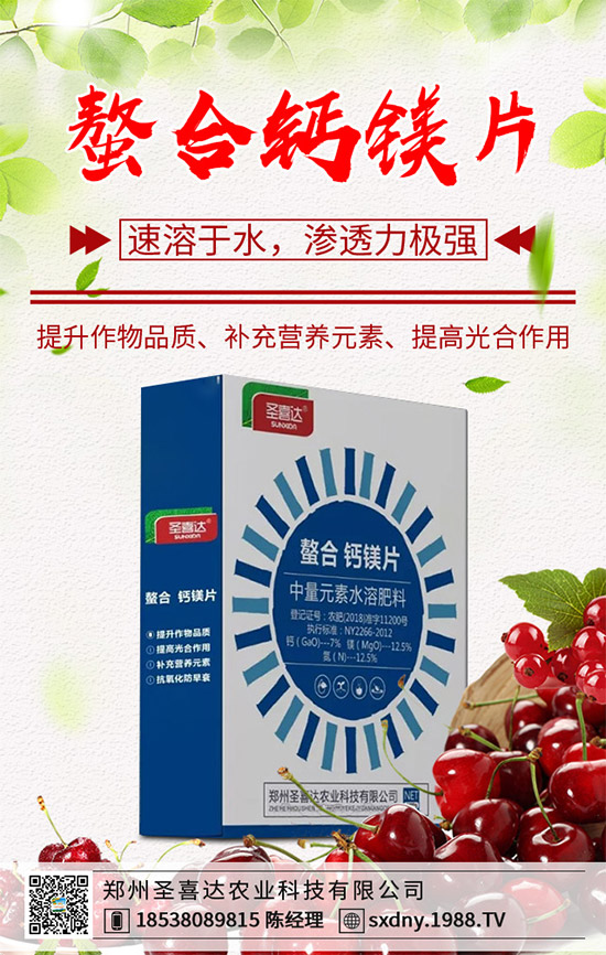 洋薊為什么這么受人歡迎？洋薊的市場(chǎng)行情分析