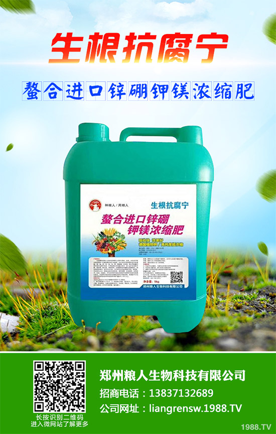 洋薊有哪些營(yíng)養(yǎng)價(jià)值?洋薊的營(yíng)養(yǎng)價(jià)值及功效作用