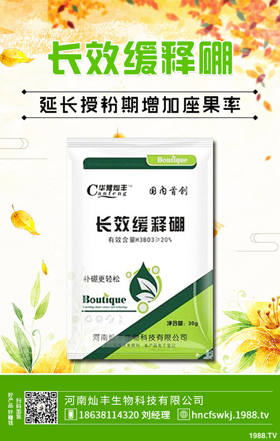 防風(fēng)種植技術(shù)有哪些?防風(fēng)的田間管理