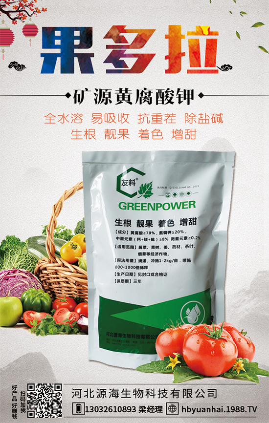 大蒜今日價格多少錢一斤？2020年大蒜種植前景如何？