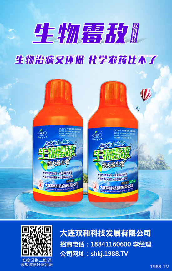 平菇種植其實不難，注意這幾點，產(chǎn)量會很高！