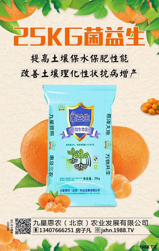 李子樹怎么種植？李子樹管理技術(shù)！