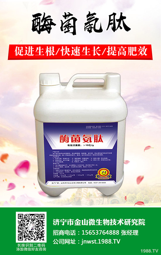 李子樹怎么修剪？李子樹的修剪方法有哪些呢？