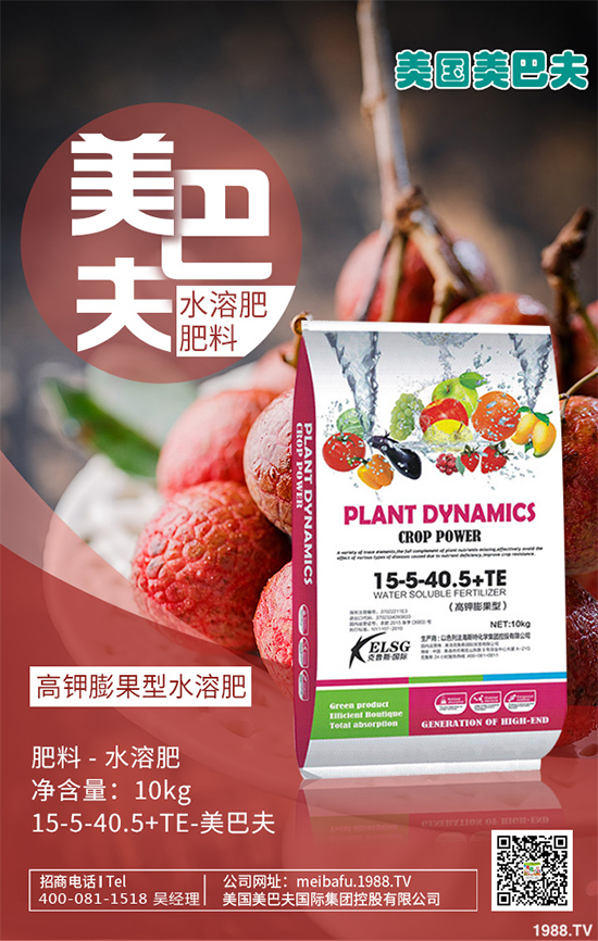 芽苗菜種植前景如何？芽苗菜的種植方法！