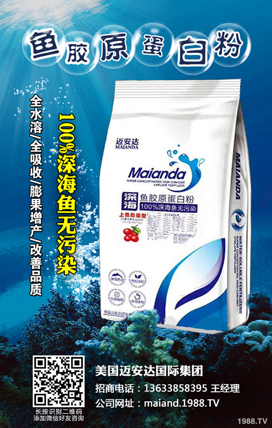     2020年柑橘苗價格多少錢一棵？柑橘種植前景怎么樣？賺錢么？