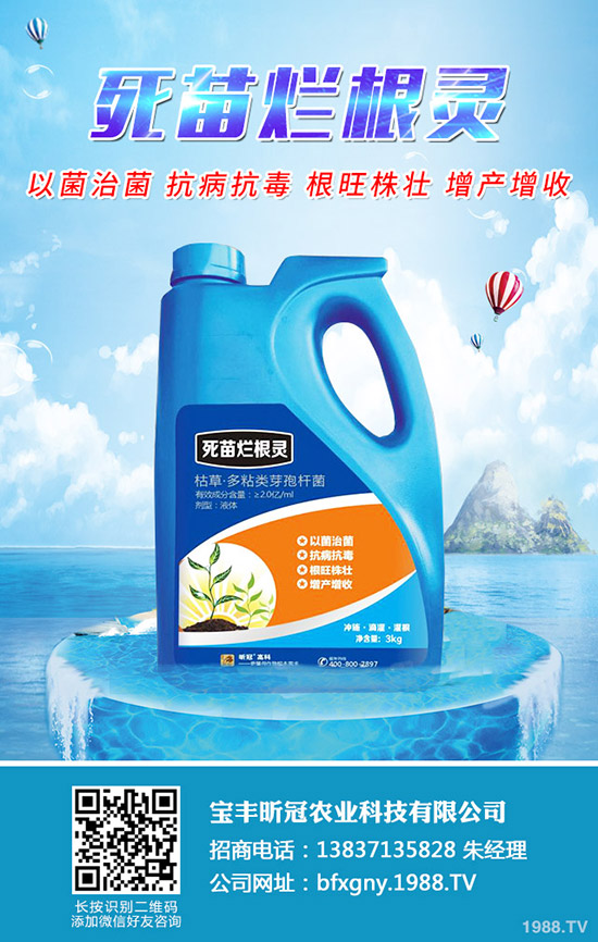 楊梅施肥時(shí)間是什么時(shí)候，楊梅施肥方法有哪些？