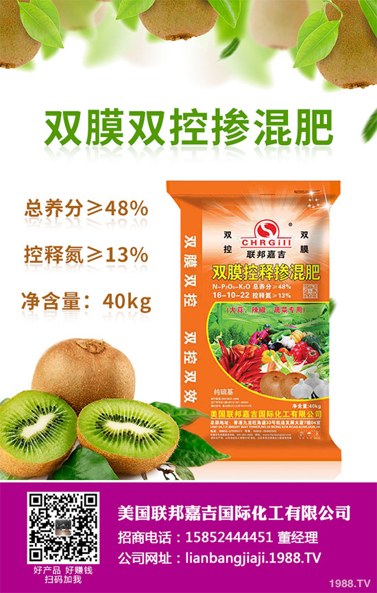 貢菊花該如何栽培？貢菊花高產(chǎn)栽培技術(shù)