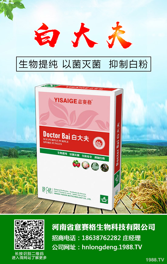 ���Ѷ���ʲô�r(sh��)���^�ã����Ѷ�����ʲô������