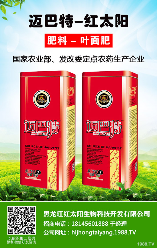 菠蘿種植多久結(jié)果？一年結(jié)幾次果？菠蘿種植方法！