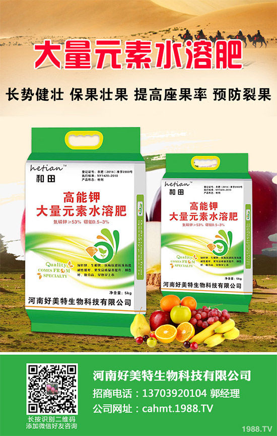 吃蘑菇有什么好處？蘑菇的營(yíng)養(yǎng)價(jià)值及功效作用