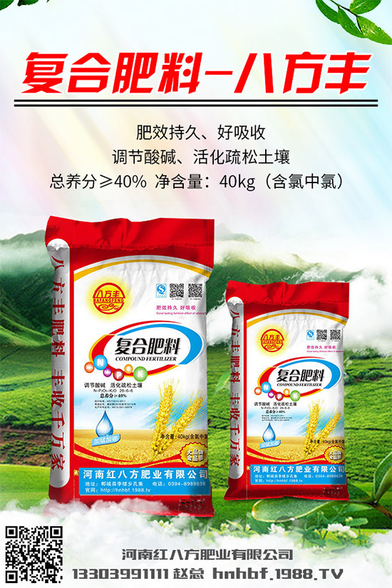 吃蘑菇有什么好處？蘑菇的營(yíng)養(yǎng)價(jià)值及功效作用