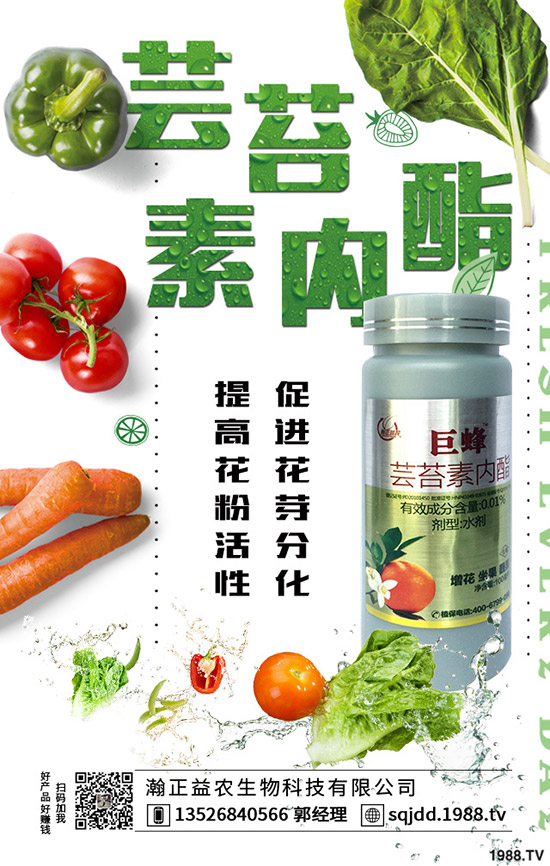 大棚蔬菜采光率低危害，如何提高大棚蔬菜采光率？