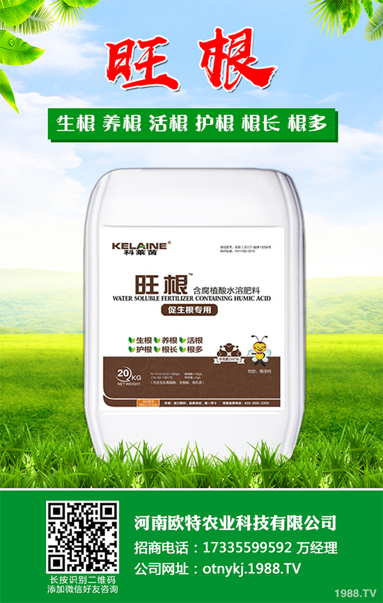 蘑菇種植需要什么條件？蘑菇種植環(huán)境要求