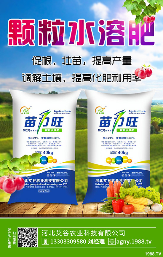 生姜什么時(shí)候種，生姜的種植條件有哪些？